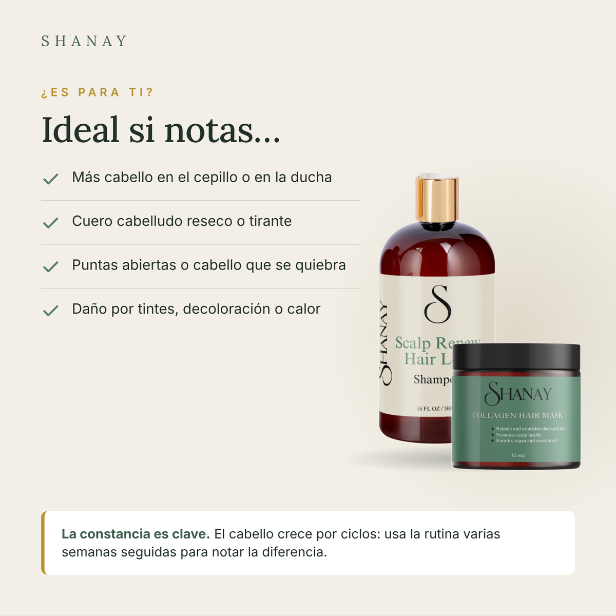 Scalp Renew Complete Routine