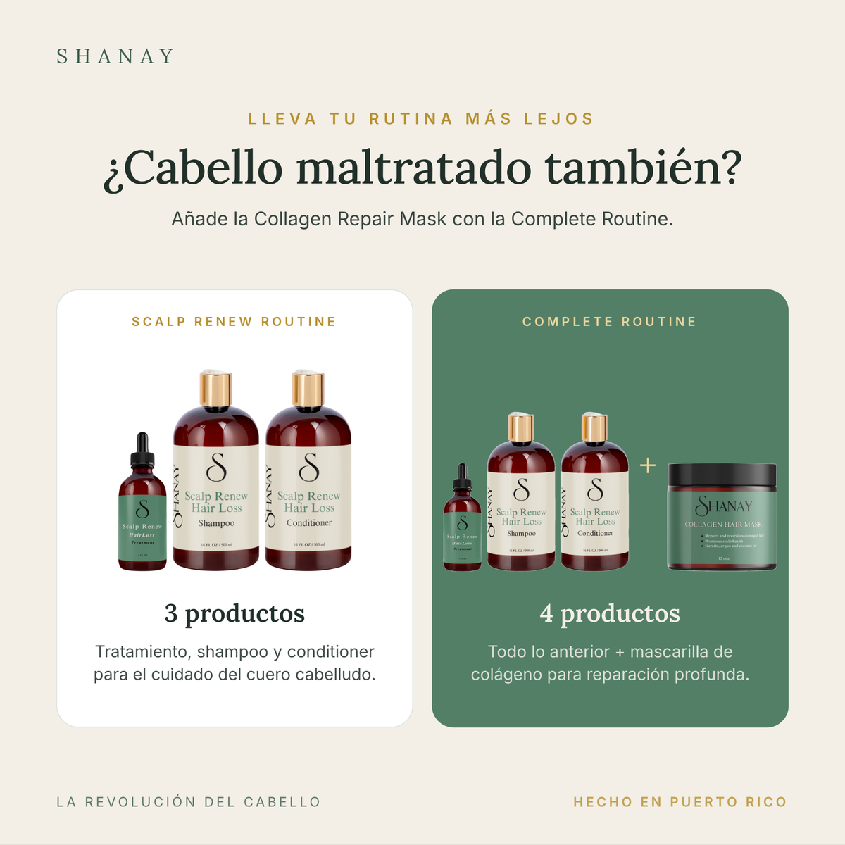 Scalp Renew Routine