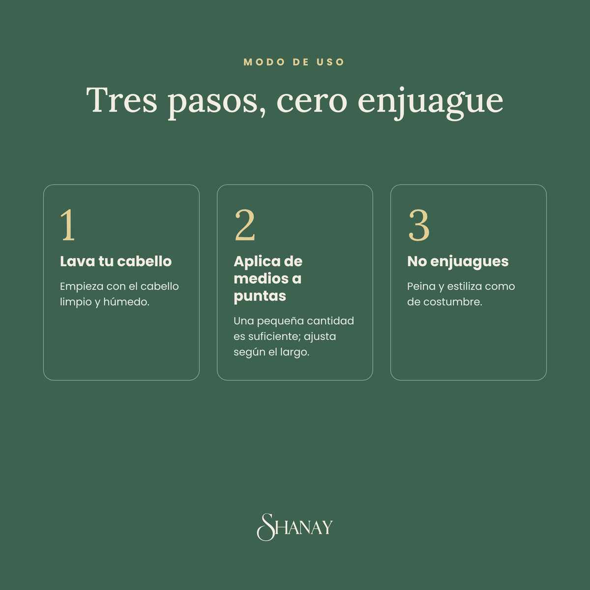Silk Renew Leave In | Edición Limitada