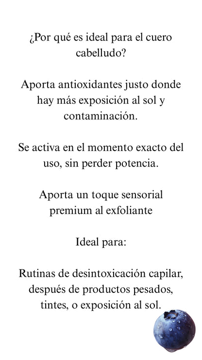 Scalp Renew Exfoliant