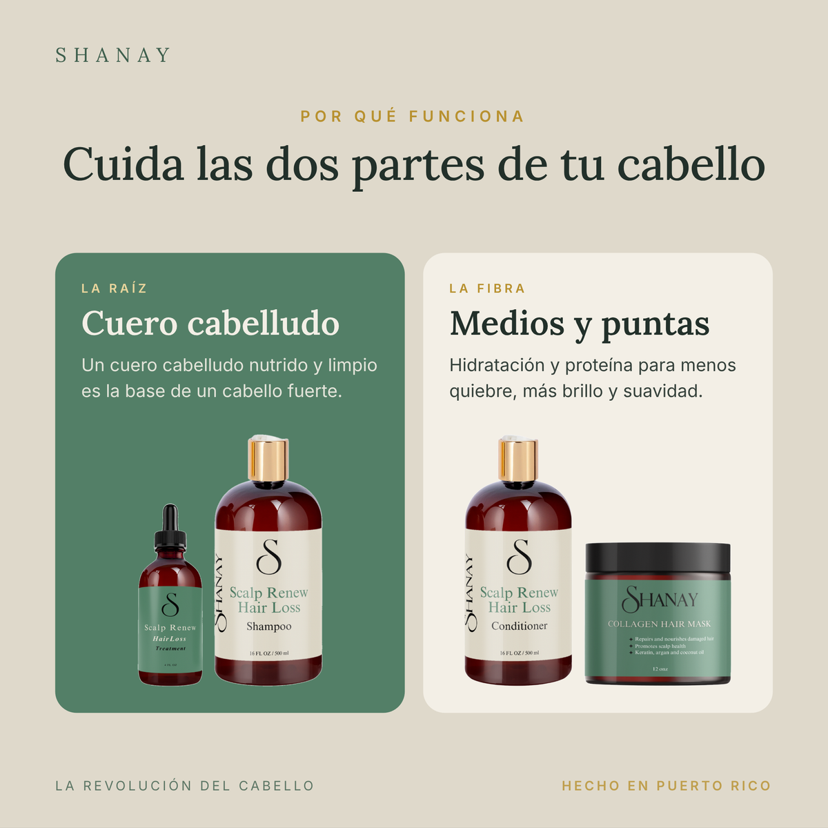 Scalp Renew Complete Routine