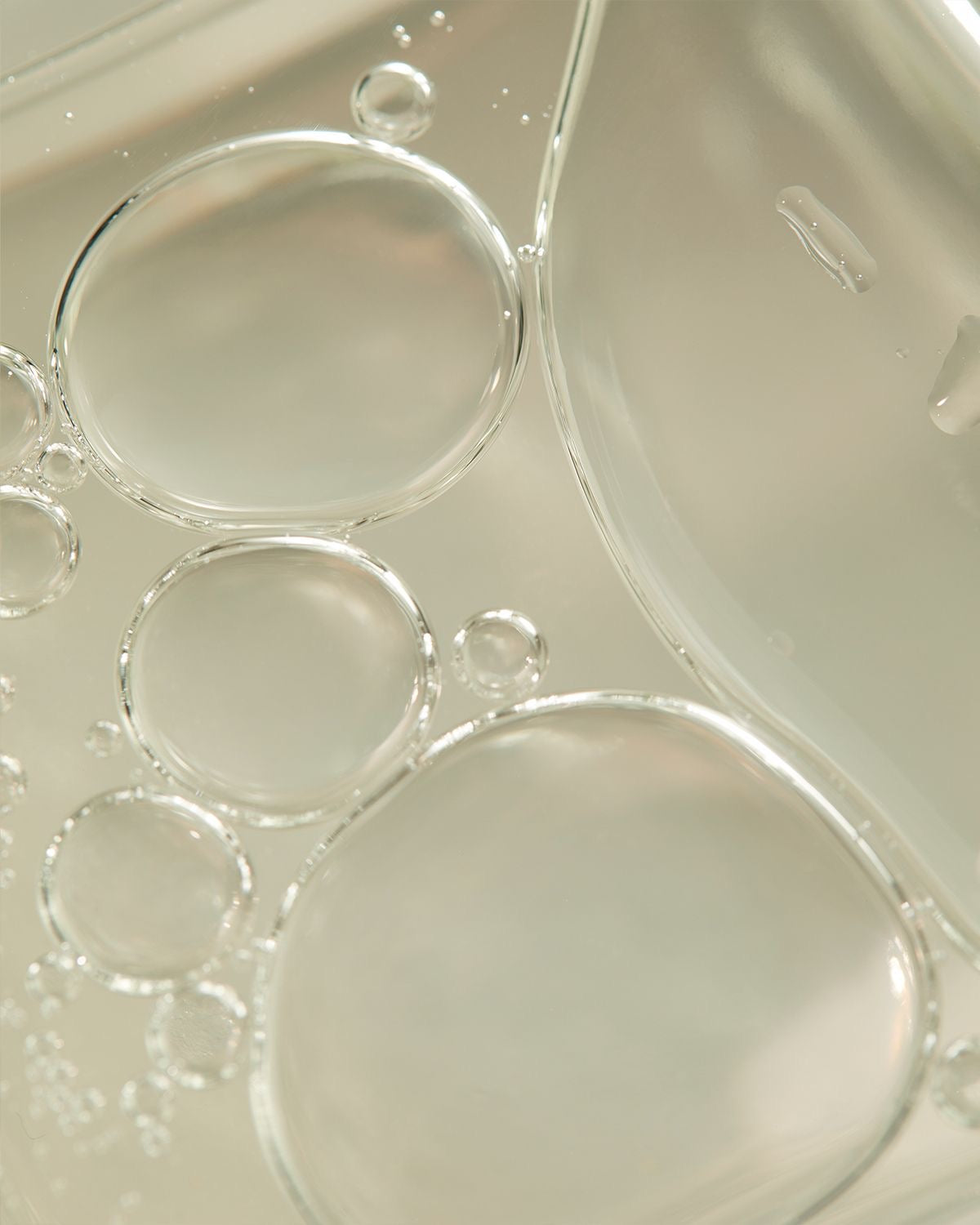 Scalp Renew Hair Loss Shampoo 16 OZ