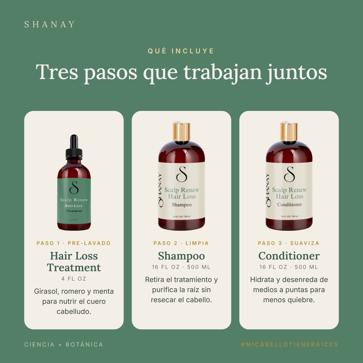 Scalp Renew Routine